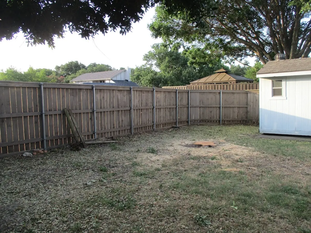 Cleared yard after professional tree removal in Marco Island