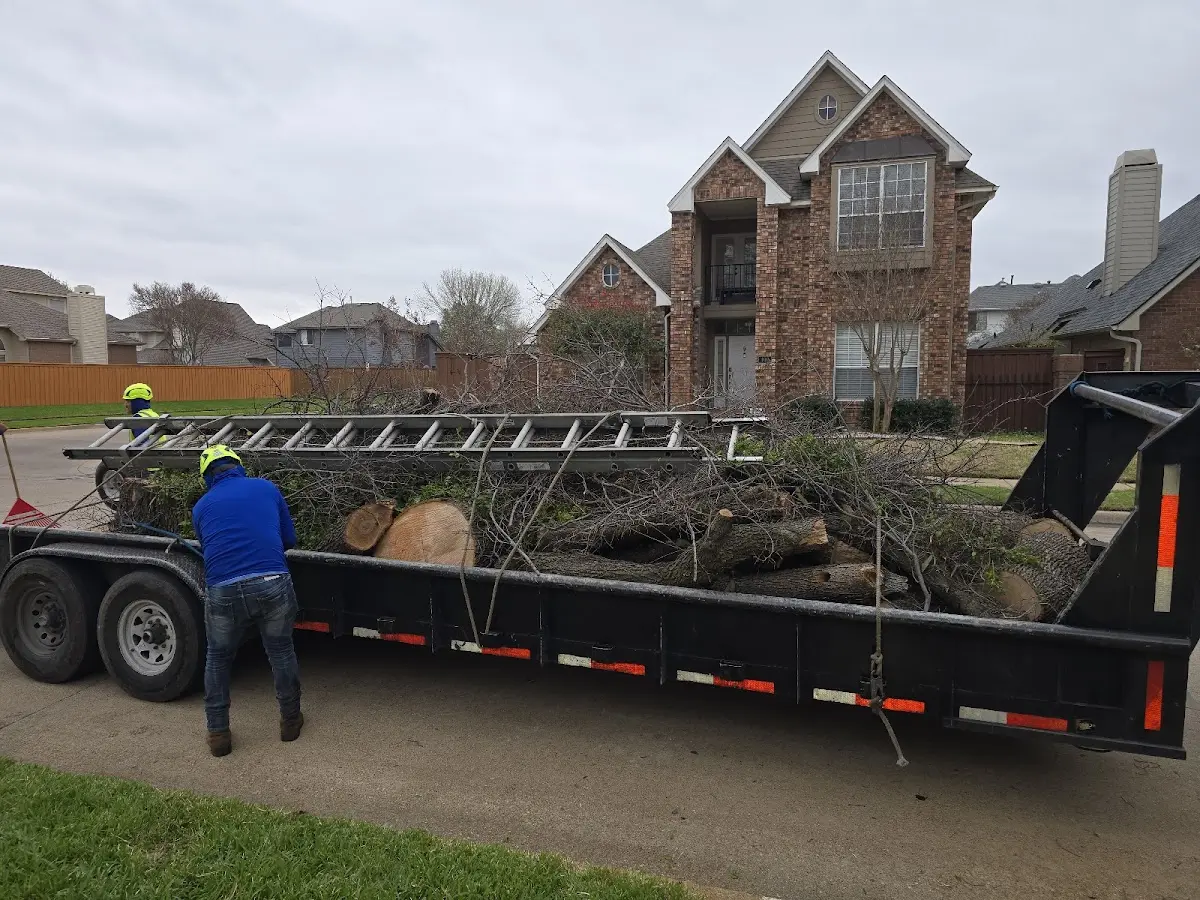 Expert Tree Pest Control with proper safety equipment in Marco Island